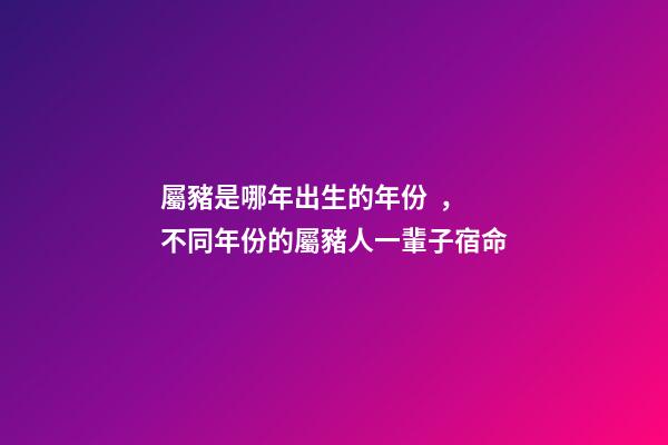 屬豬是哪年出生的年份，不同年份的屬豬人一輩子宿命-第1張-觀點-玄機派